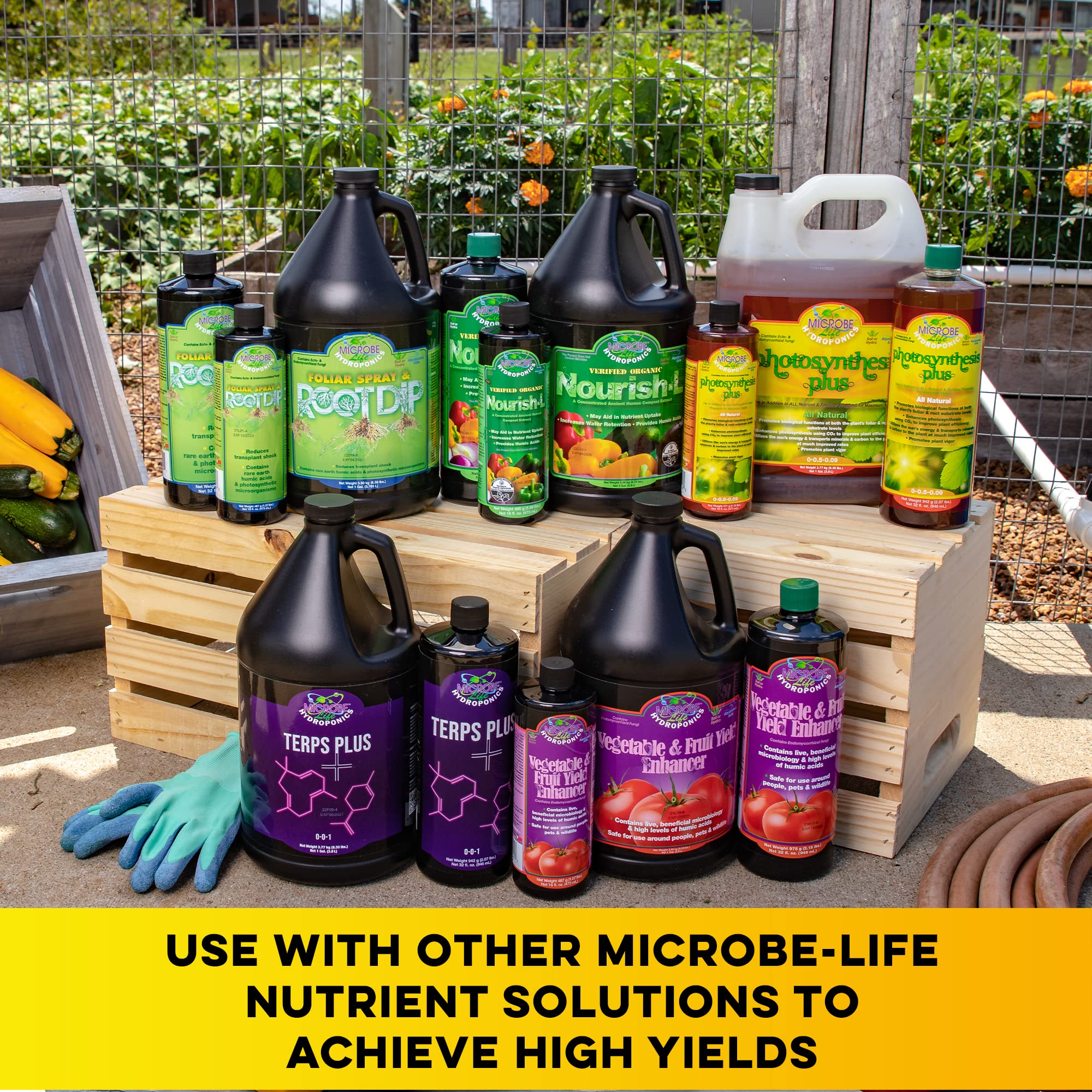 Microbe Life Photosynthesis Plus nutrient-uptake emphasis improves resource distribution.