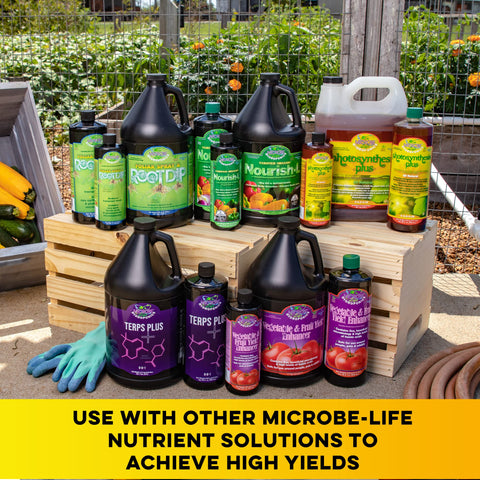 Microbe Life Photosynthesis Plus nutrient-uptake emphasis improves resource distribution.