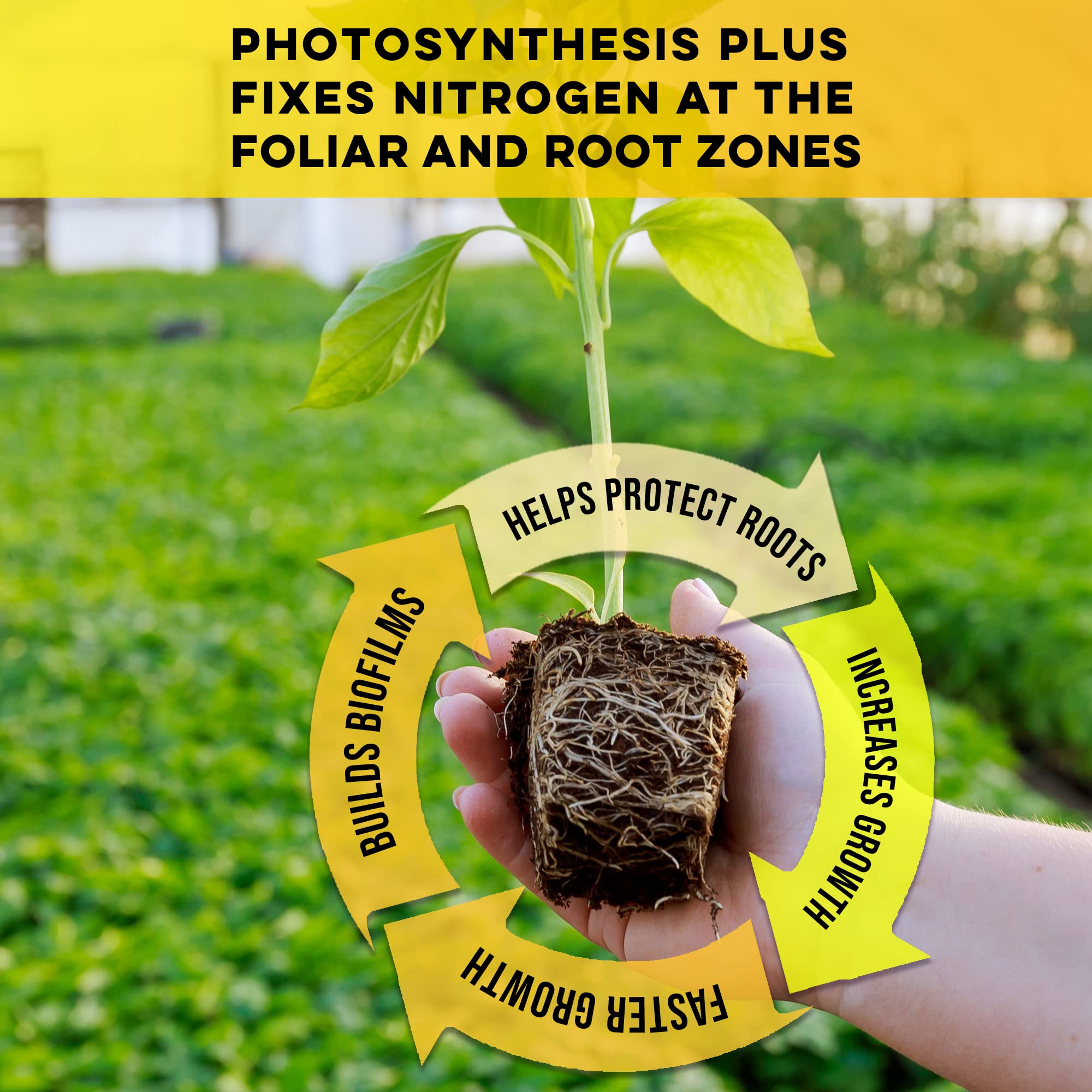 Microbe Life Photosynthesis Plus root-biofilm focus supports nutrient uptake.