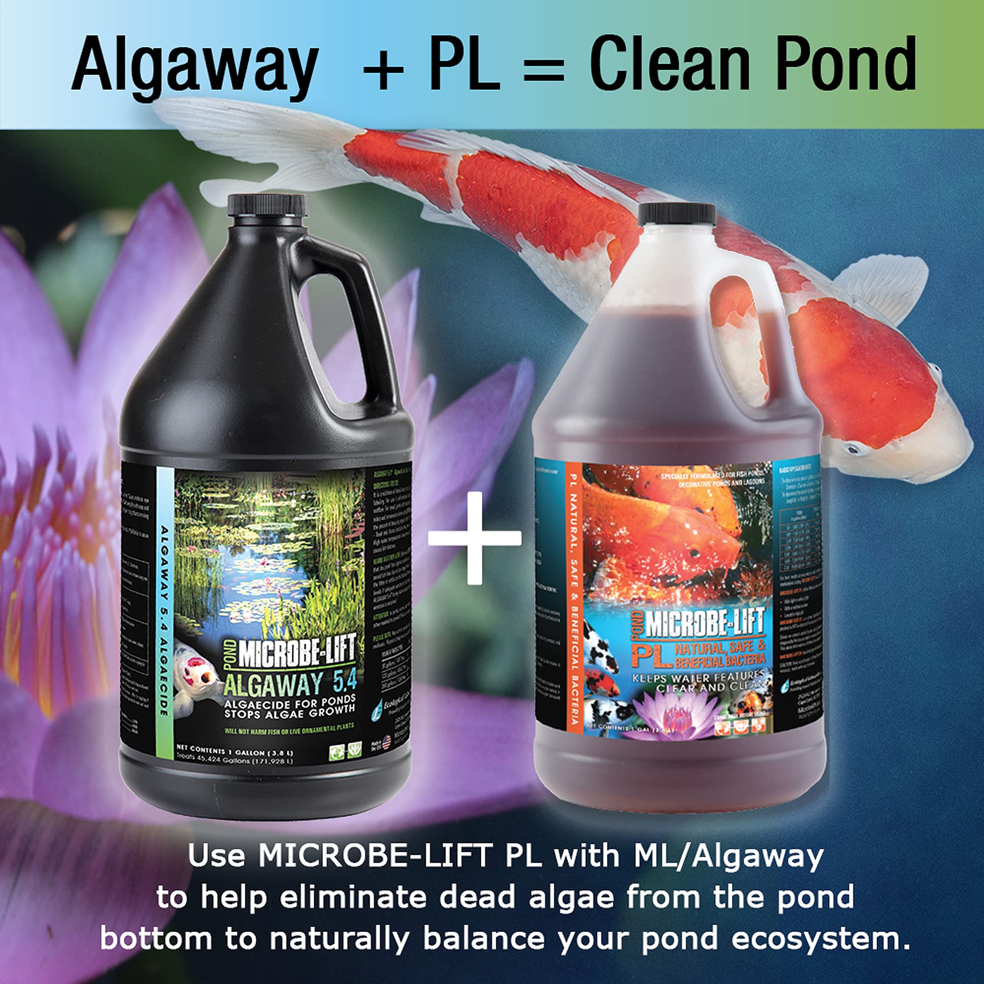 Algaway 5.4 provides clearer water, revealing koi and plants