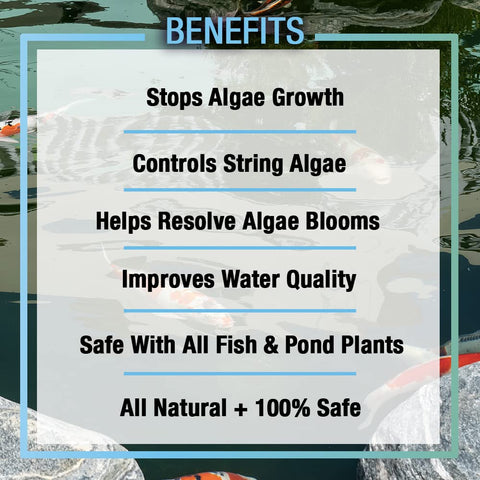 MICROBE-LIFT Algaway 5.4 safe for koi and goldfish in outdoor pond