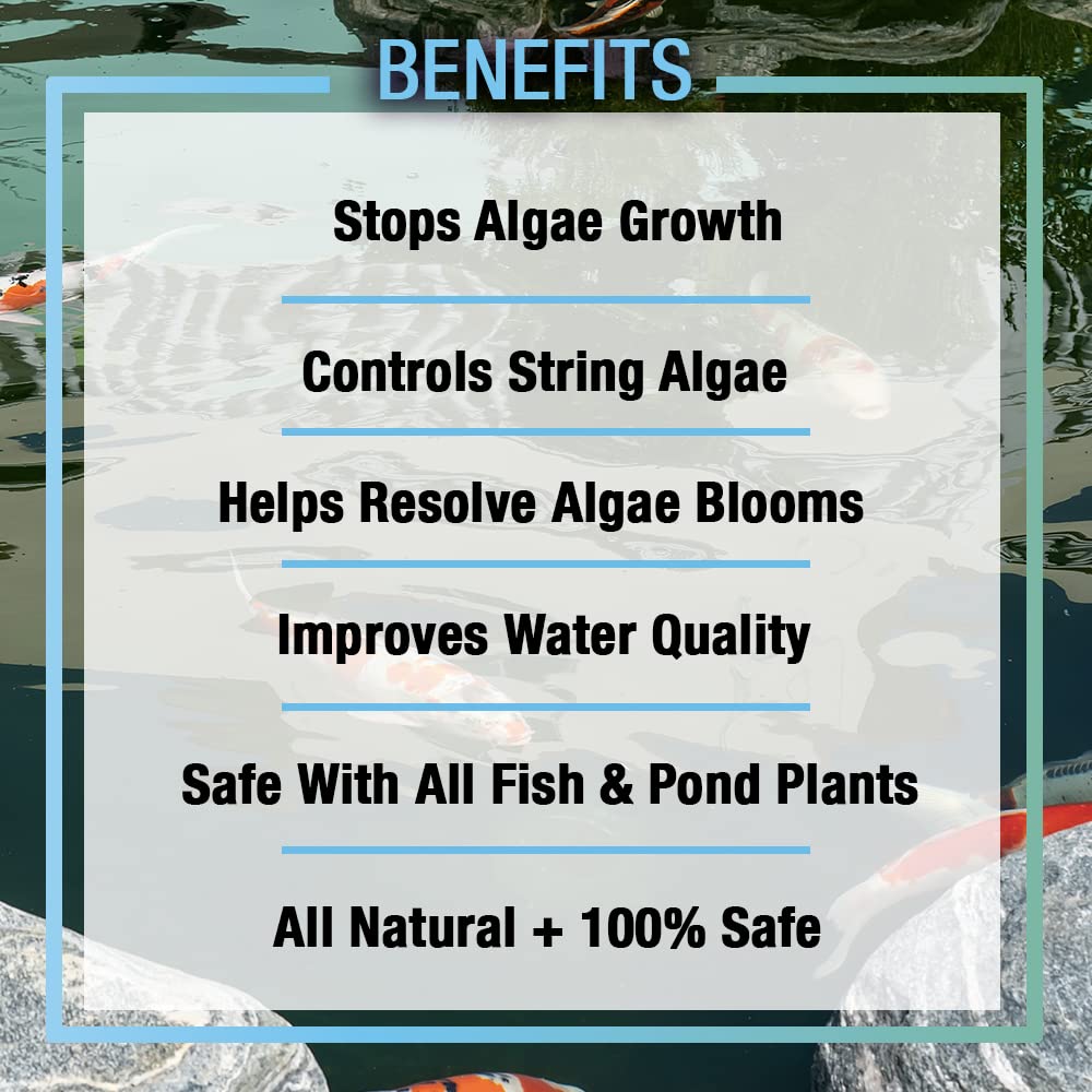 Treated pond water with Algaway 54 shows improved clarity and shine