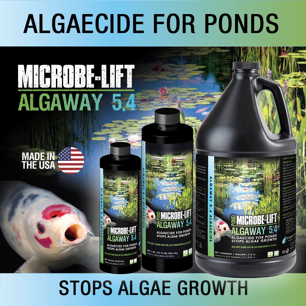 Pouring MICROBE-LIFT Algaway 54 to curb pond algae growth