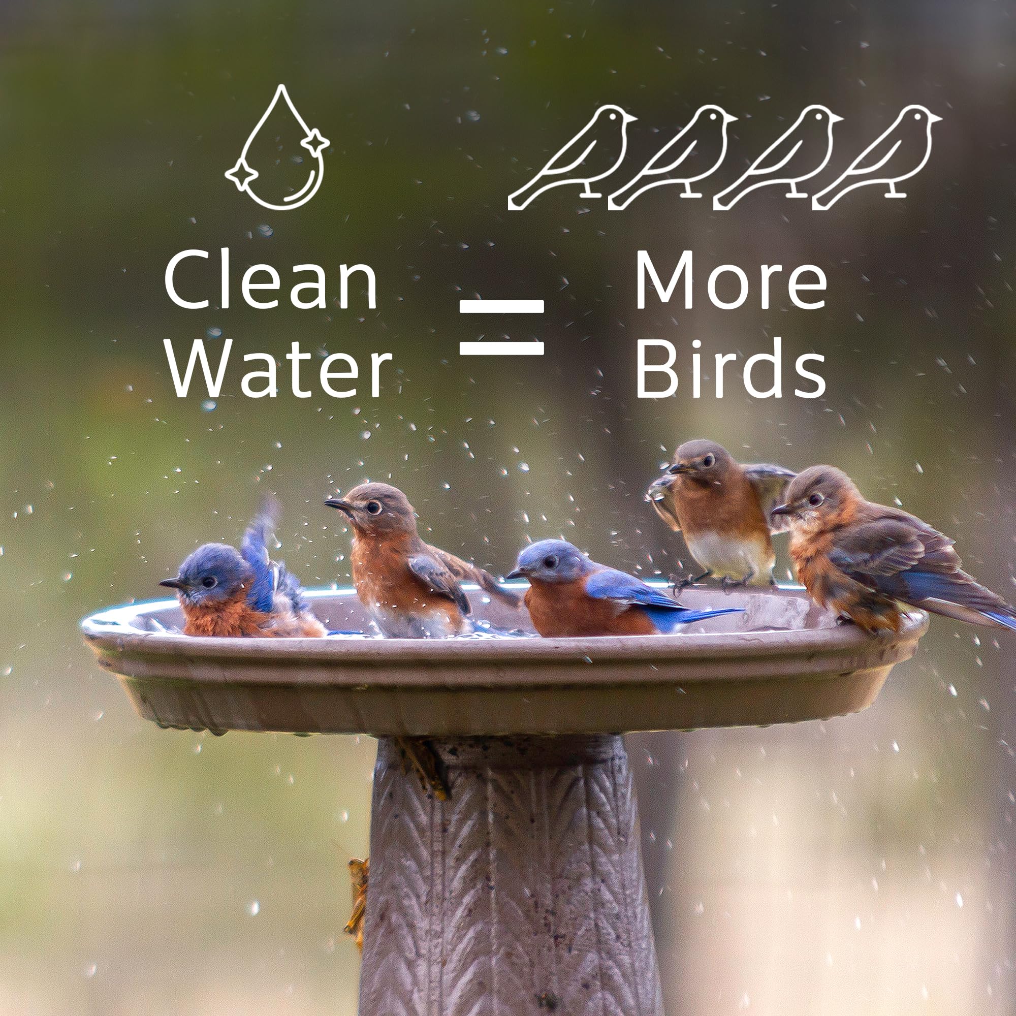 Microbe-Lift Bird Bath Clear reduces cloudy water for better viewing