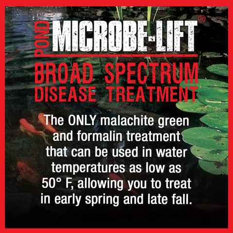 Outdoor water garden setup using MICROBE-LIFT BSDT32.