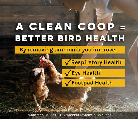 MICROBE-LIFT cleaner spray action applied to coop interior