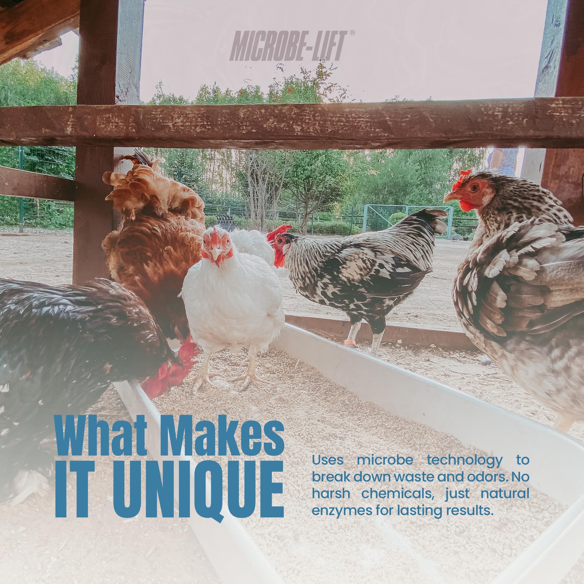 Microbe-Lift Chicken Coop Waste-breakdown-coop promotes faster waste breakdown and easier composting.