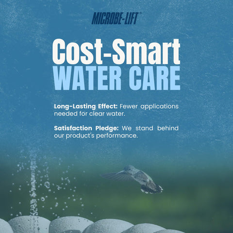 Microbe-LIFT Large Fountain Clear bird-bath with visiting birds enjoying clean water.