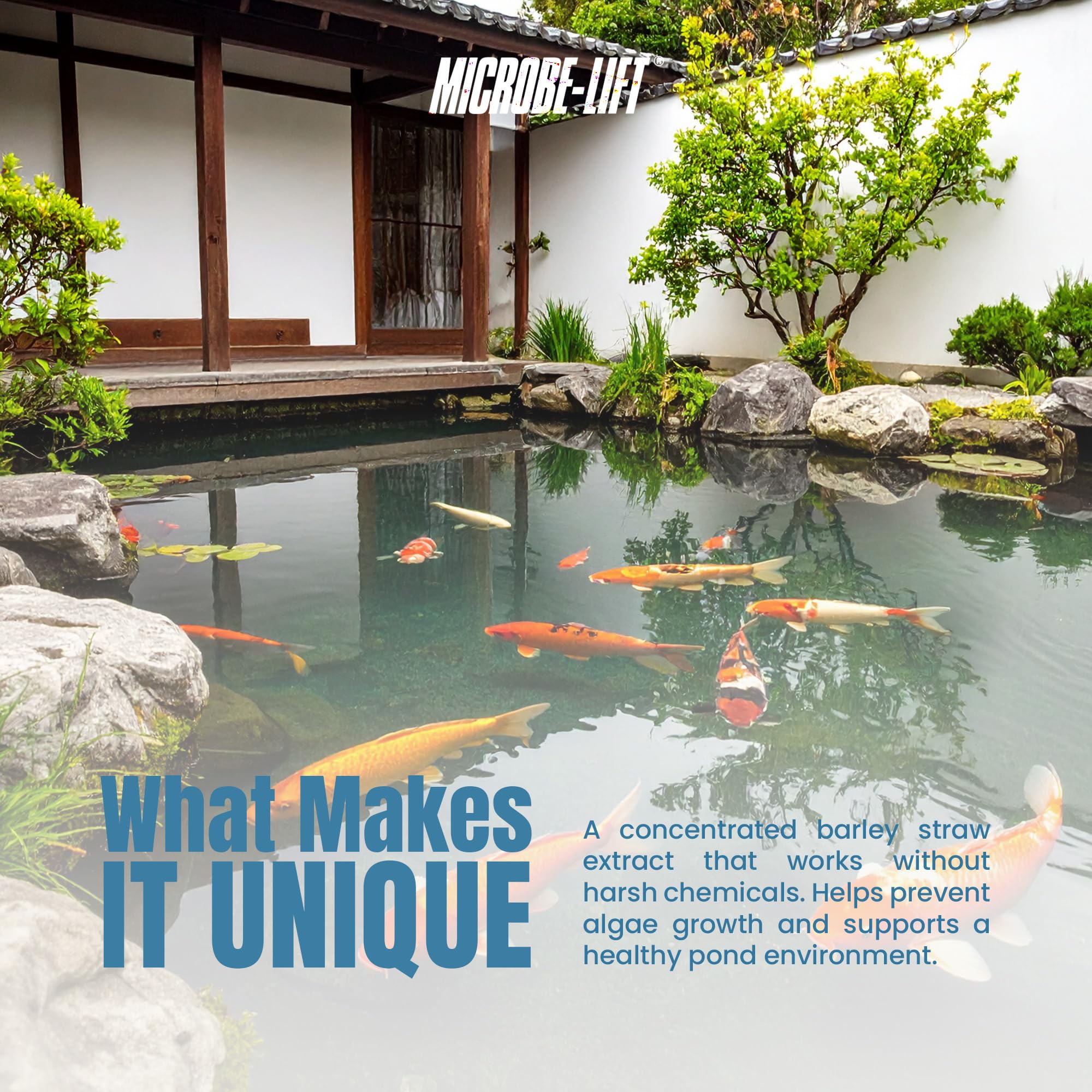 MICROBE-LIFT conditioner protects decorations and plants in outdoor ponds.
