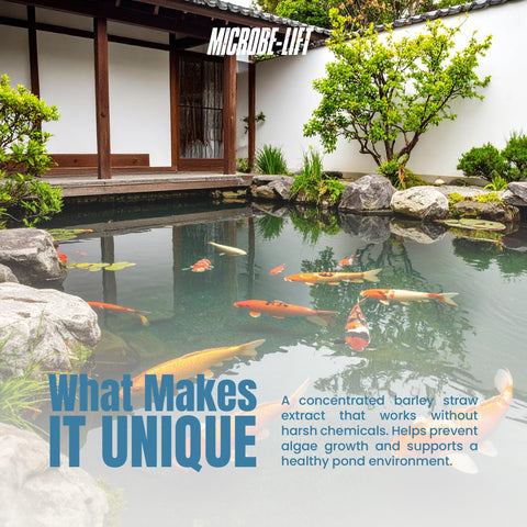 MICROBE-LIFT conditioner protects decorations and plants in outdoor ponds.