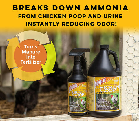 MICROBE-LIFT safe around chicken feed and water in coop
