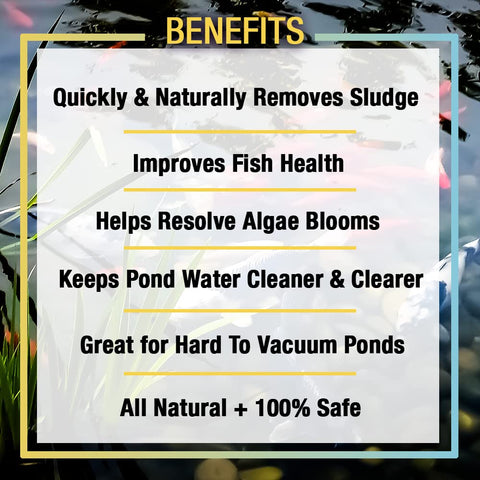 MICROBE-LIFT Sludge-Away bottom sludge illustrates natural solids reduction