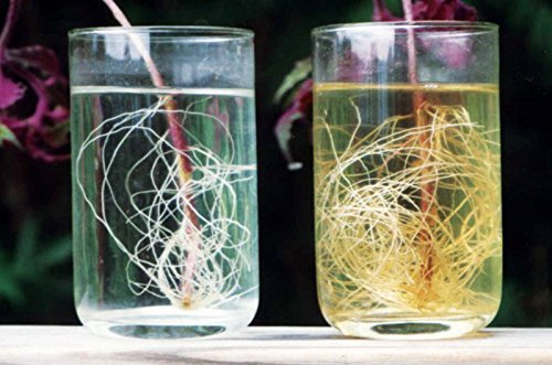 MicroLife Ultimate vegetables and flowers scene hints at higher yields and healthier blooms.