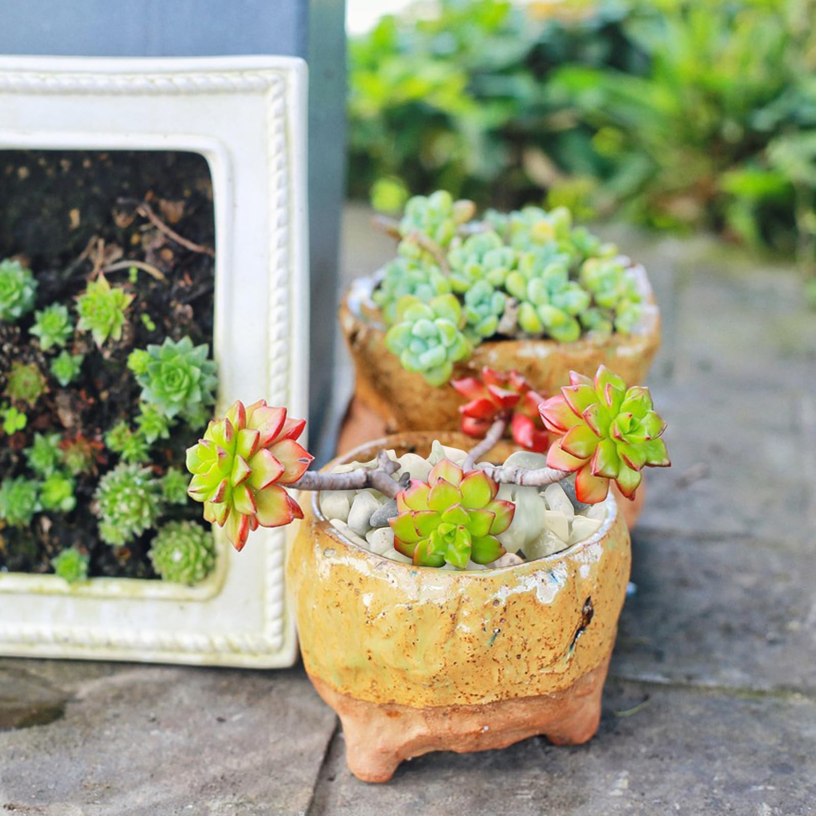 MIDELONG DIY garden fillers help create cohesive fairy gardens and displays.
