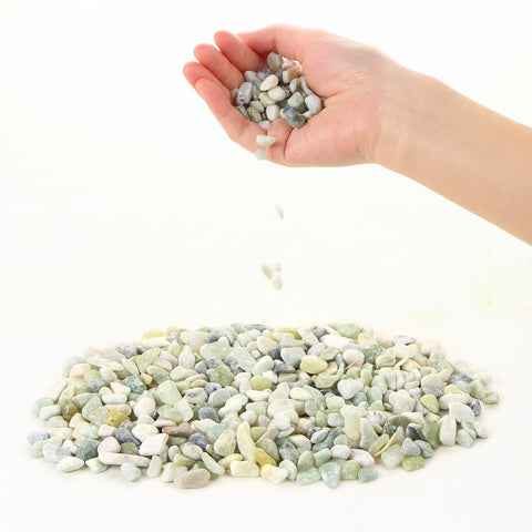 MIDELONG jade bean pebbles showcase natural texture for stylish plant displays.