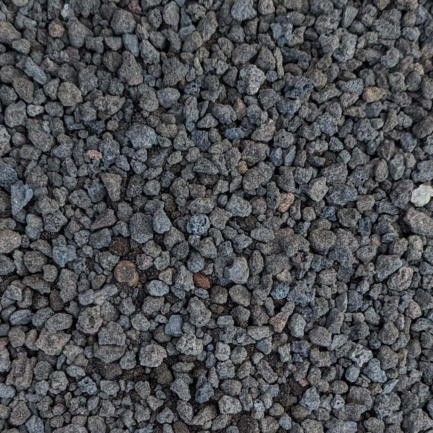 Midwest Hearth Black Lava Rocks 1/4-inch for drainage and moisture control.