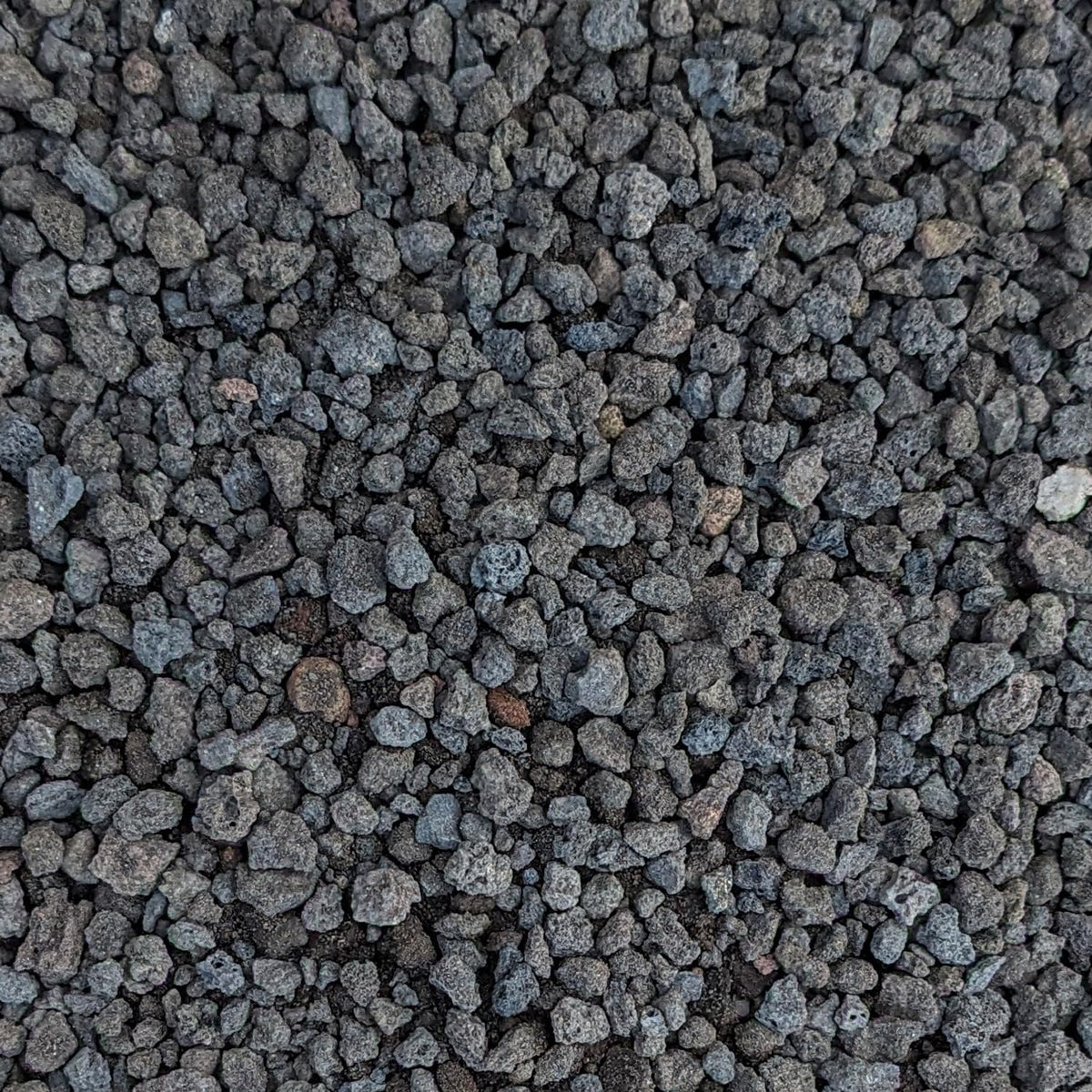 Midwest Hearth Black Lava Rocks 1/4-inch for drainage and moisture control.
