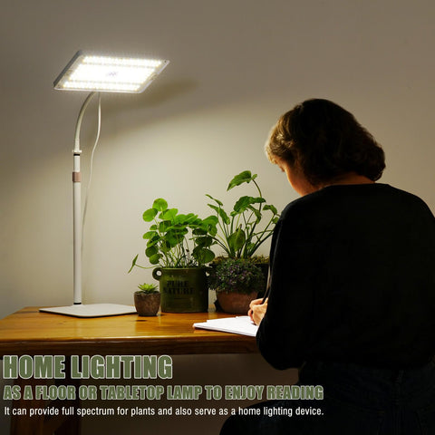 Auto timer feature for consistent daily light cycles on the MIEEMCLUX light.