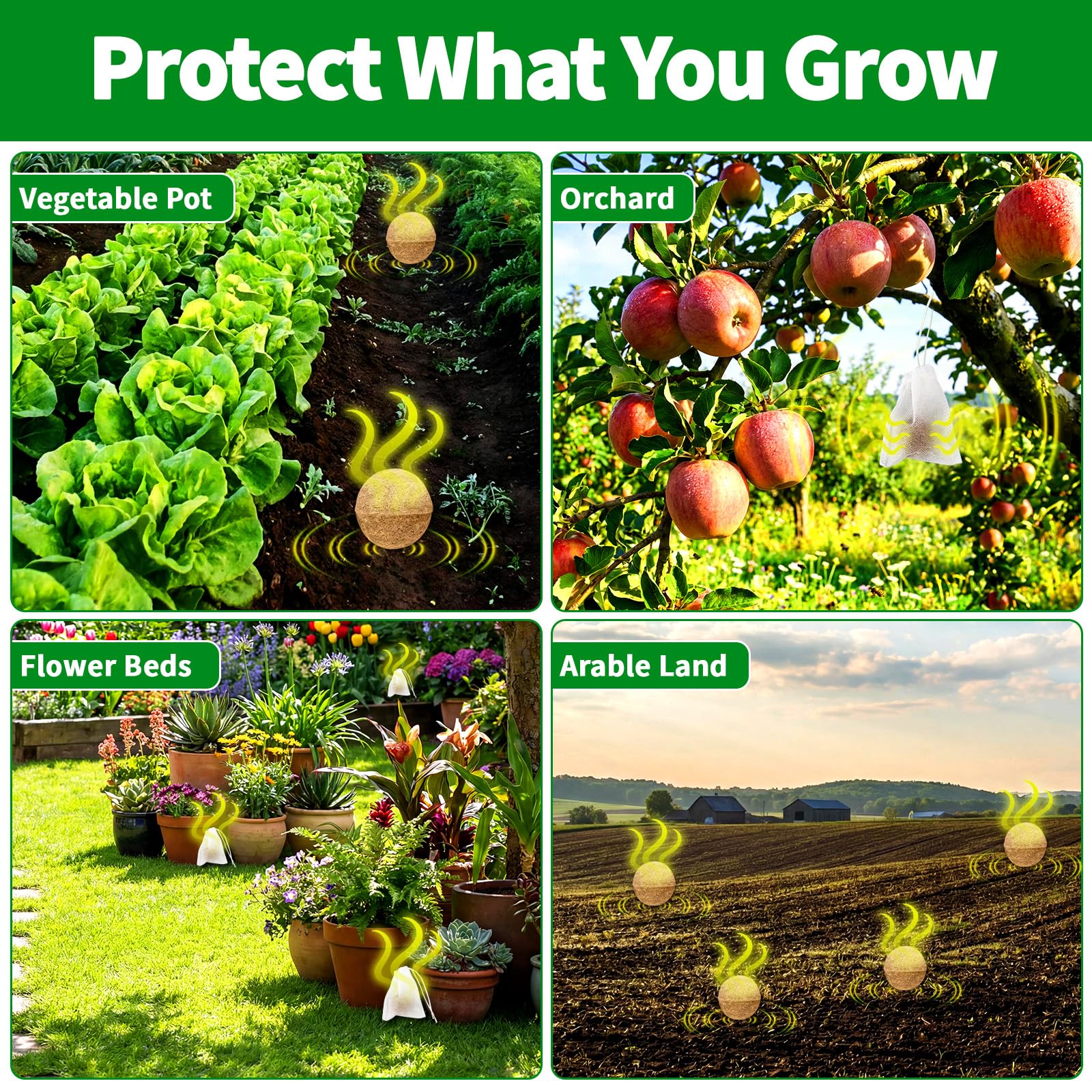 Migdracy packaging photo — ready-to-use 10-pack for versatile placement.
