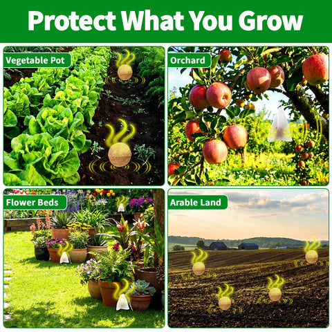 Migdracy packaging photo — ready-to-use 10-pack for versatile placement.