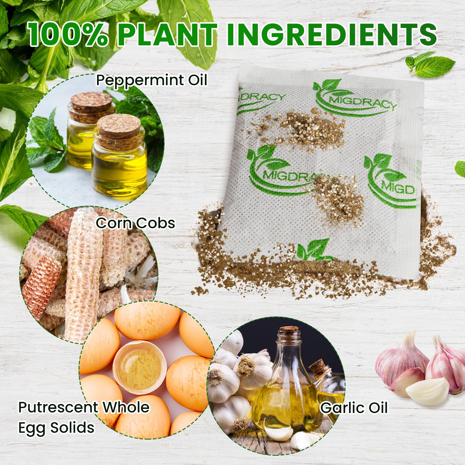 Migdracy peppermint oil pest control closeup highlighting natural ingredients