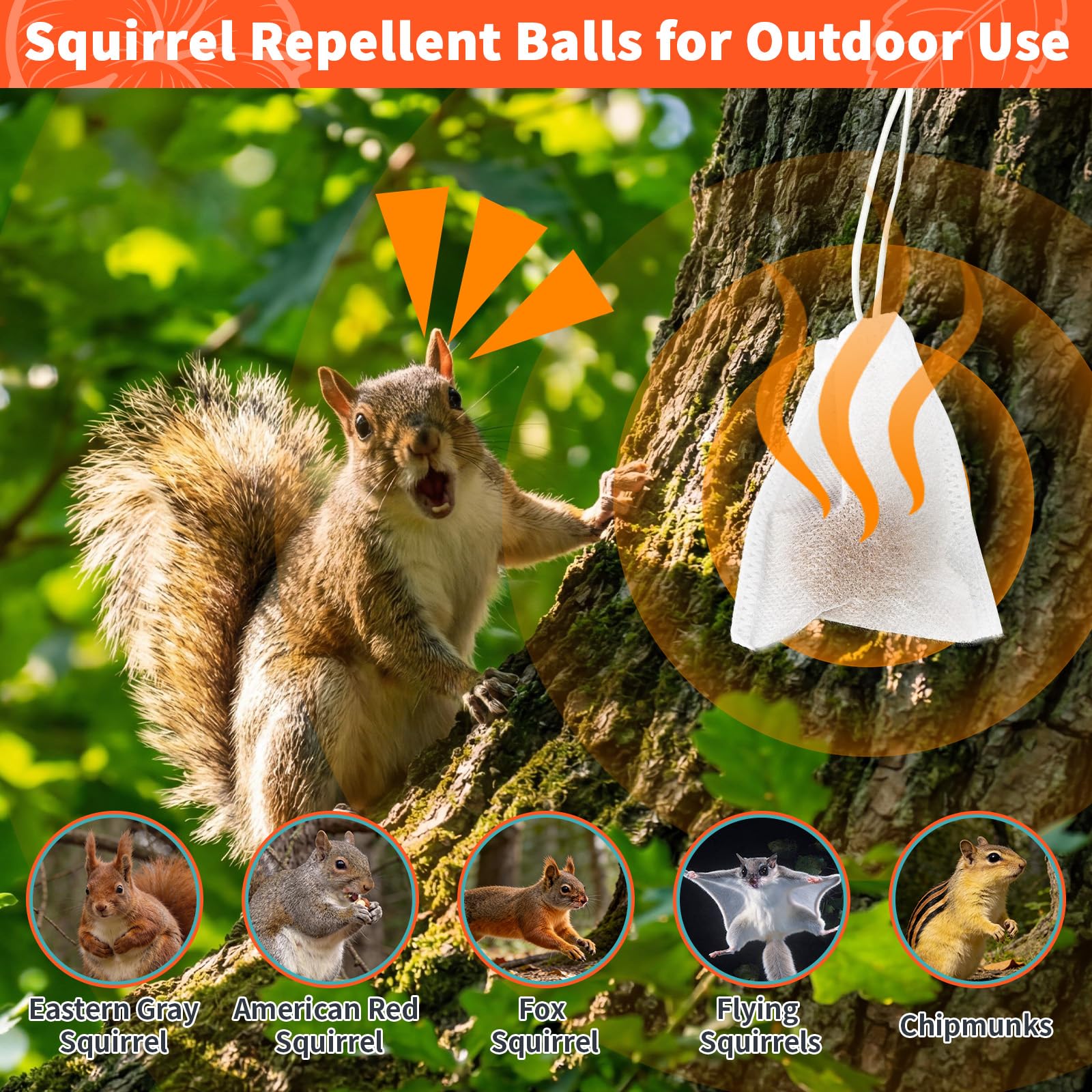Migdracy Squirrel Repellent Ball in attic corner prevents intrusions