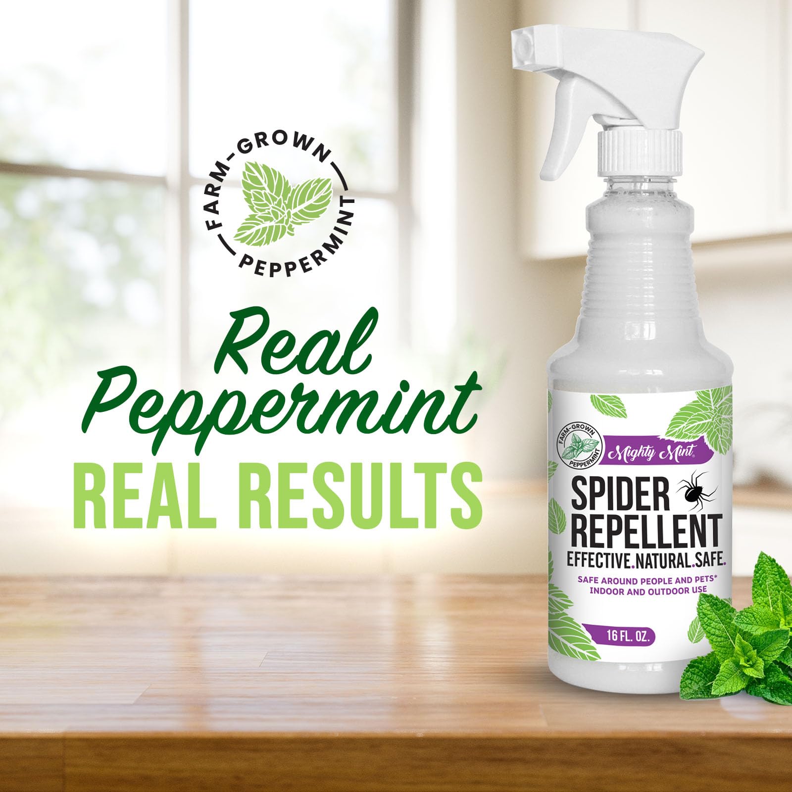 Mighty Mint baseboard application shows targeted spider deterrence in entryways.