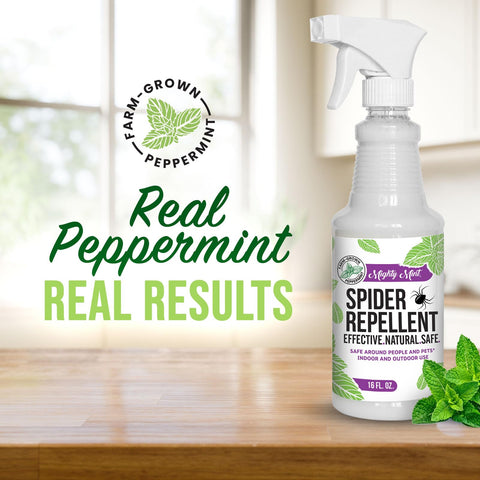 Mighty Mint baseboard application shows targeted spider deterrence in entryways.