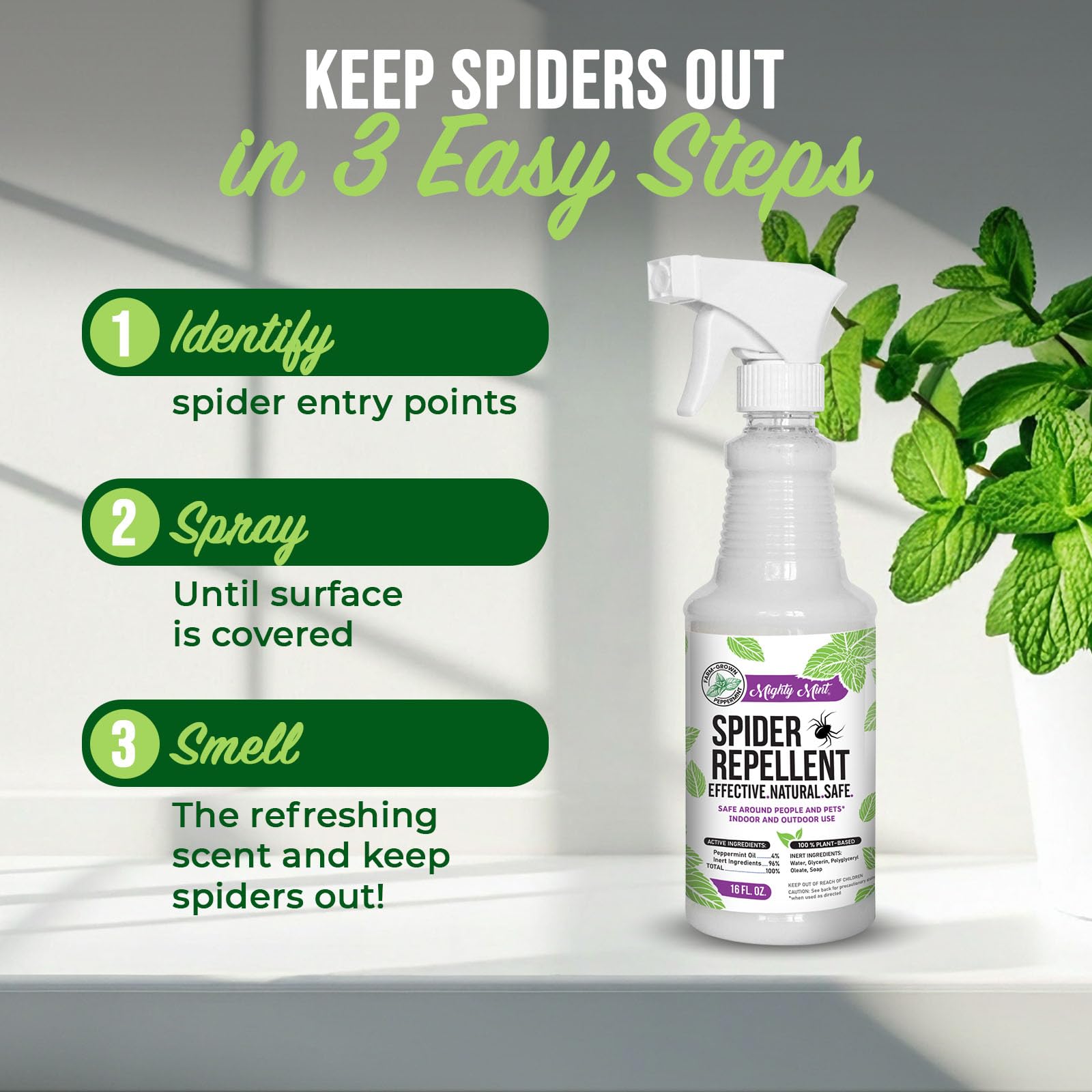 Mighty Mint fast spot-treatment for stubborn corners and entryways.