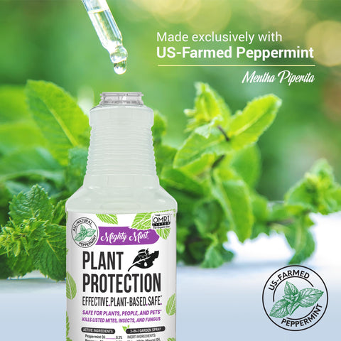 Mighty Mint Peppermint Oil used indoors or outdoors for versatile plant protection.