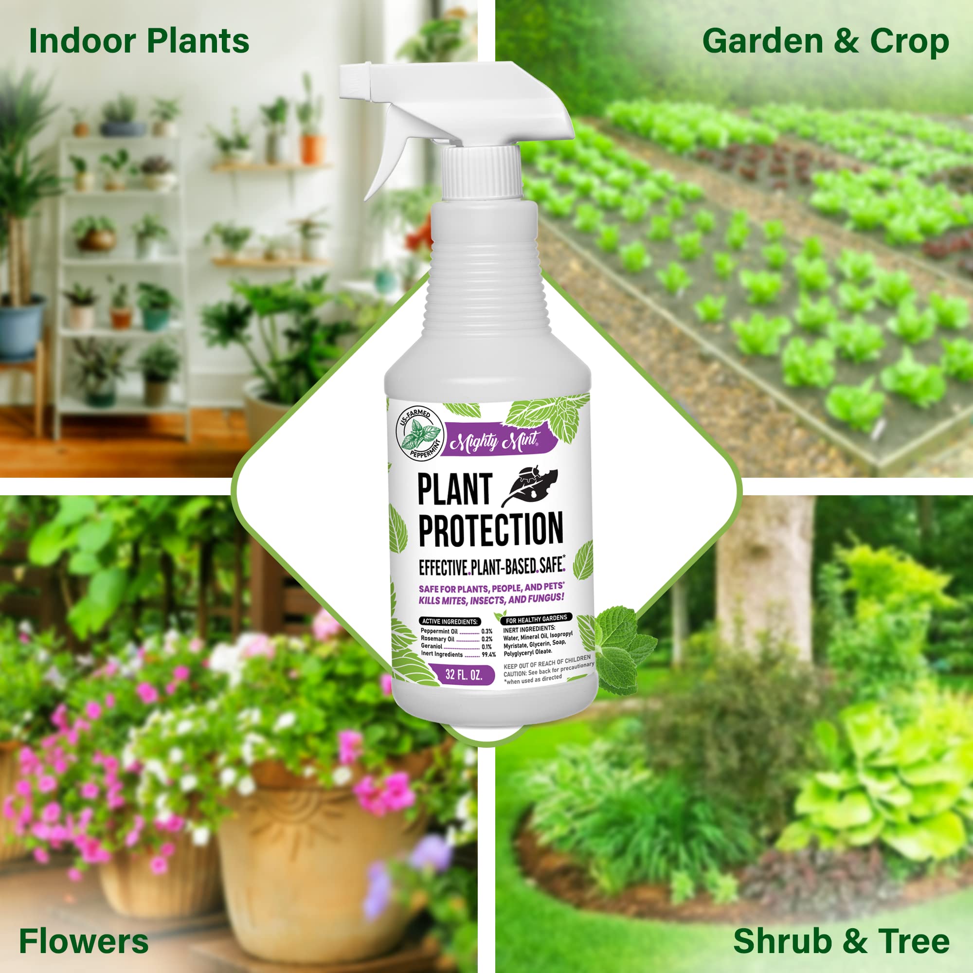 Mighty Mint indoor plants protected by peppermint oil formula.