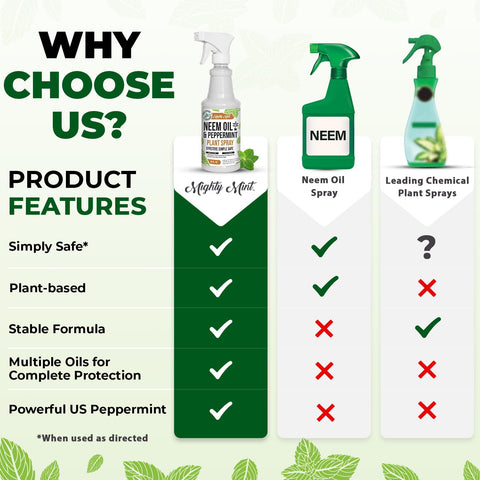 Fresh peppermint aroma around a plant with Mighty Mint spray.
