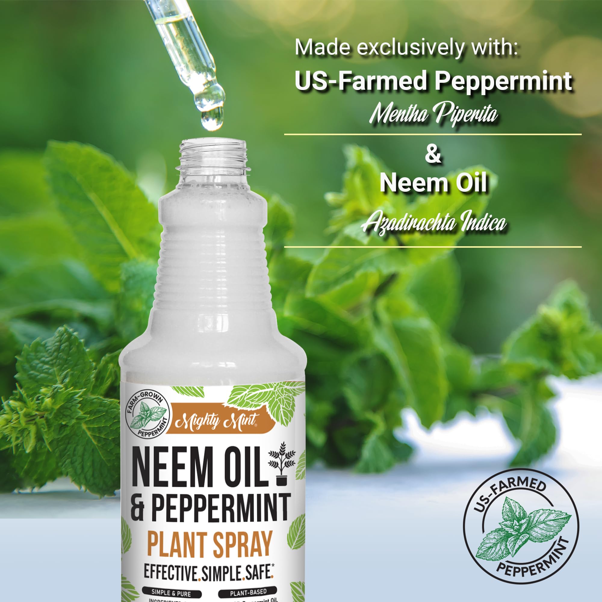 Indoor plants receive Mighty Mint spray for healthy foliage.