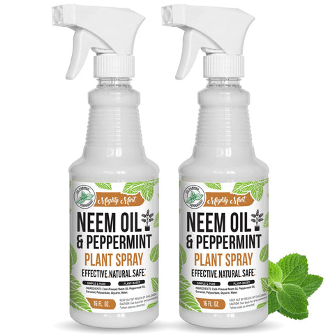 Mighty Mint Neem Oil & Peppermint Spray on leaves for natural leaf shine.