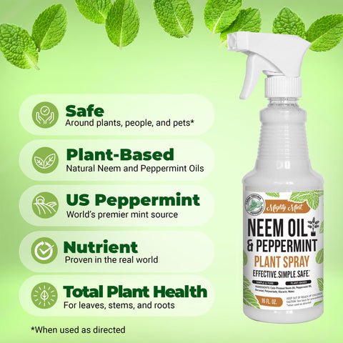 Two Mighty Mint spray bottles ready for indoor and outdoor use.
