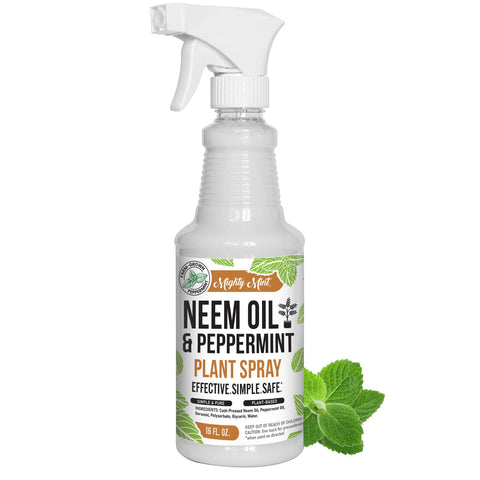 Mighty Mint neem oil spray bottle boosts nutrient delivery for healthier leaves.