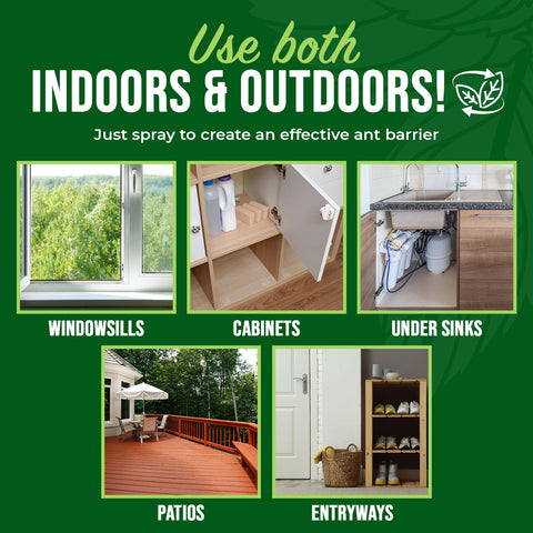 Outdoor patio perimeter protection with Mighty Mint spray