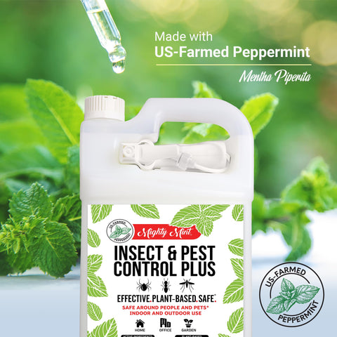 Outdoor patio scene with Mighty Mint for garden and porch protection.