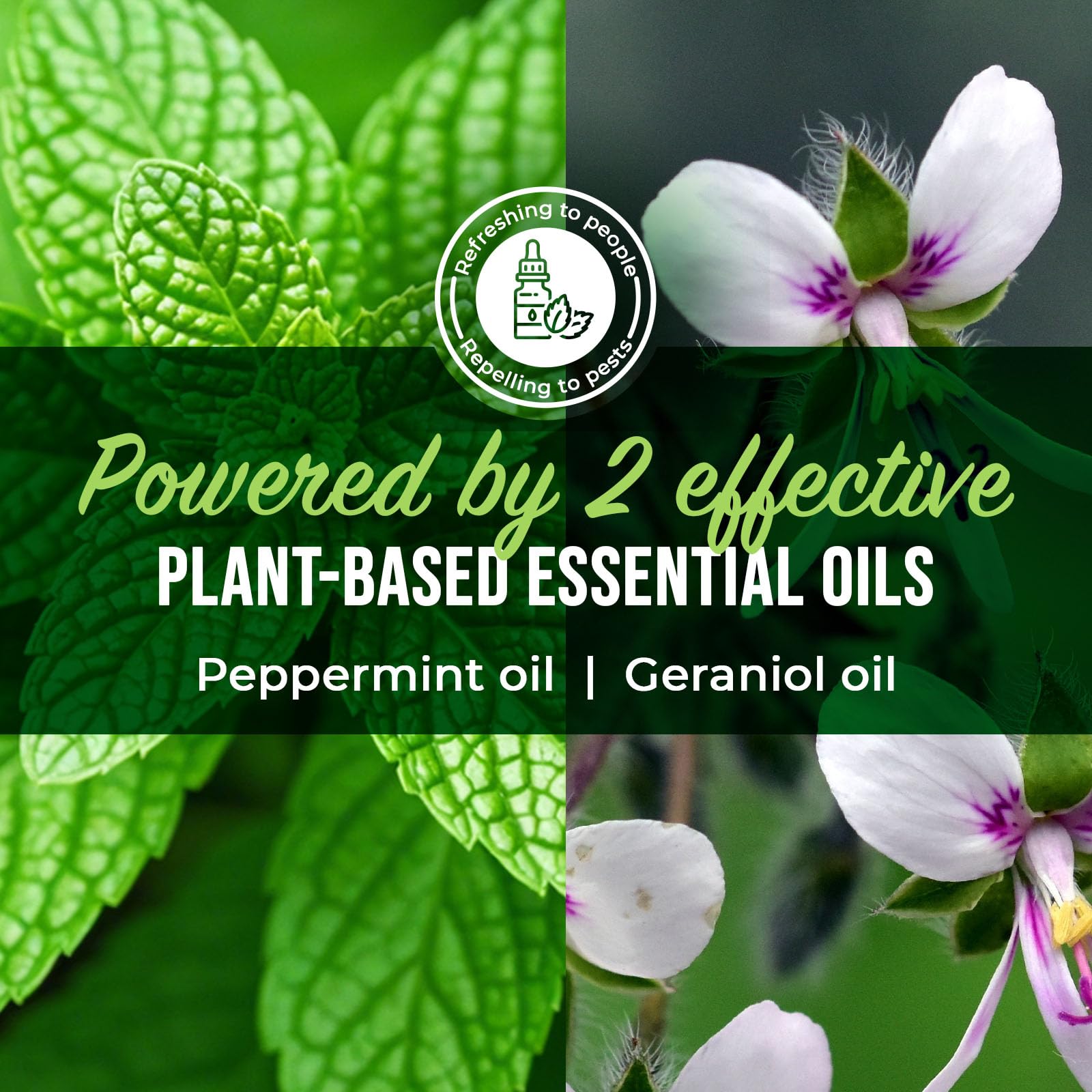 Mighty Mint peppermint-geraniol formula highlights plant-based pest deterrence.
