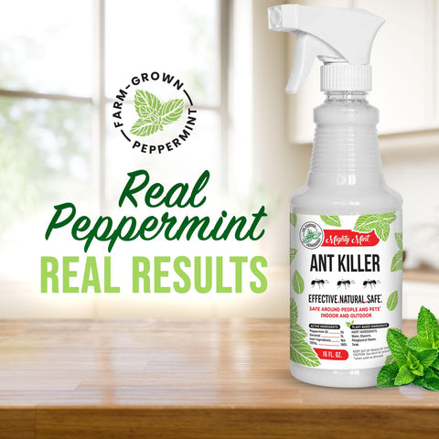 Mighty Mint peppermint oil spray in action repels ants along a kitchen baseboard