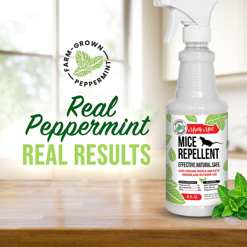 Mighty Mint spray bottle in use provides quick indoor pest deterrence.