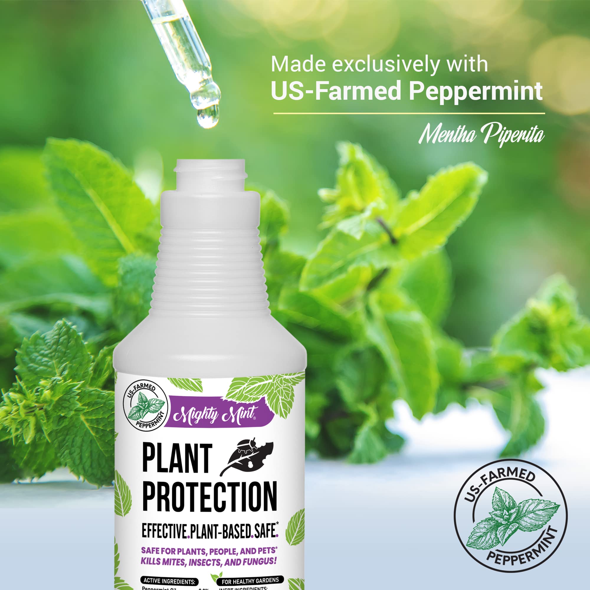 Mighty Mint spray mist shows even coverage for indoors and outdoors.