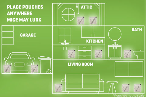 Mighty Mint pouches near attic access demonstrate scent-driven deterrence for stored items.