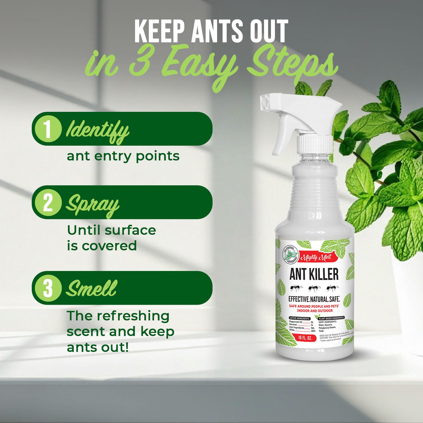 Ready-to-use 16 oz Mighty Mint bottle for quick treatments