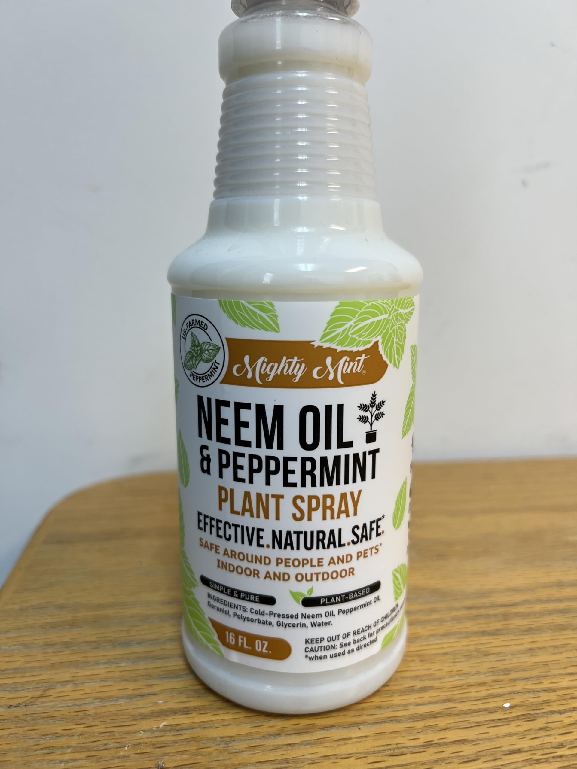 Mighty Mint 16 oz spray applied to garden flowers for vitality.