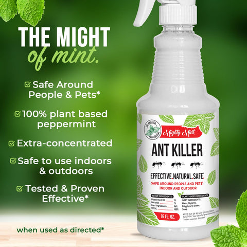Fresh peppermint aroma from Mighty Mint leaves the air pleasantly scented
