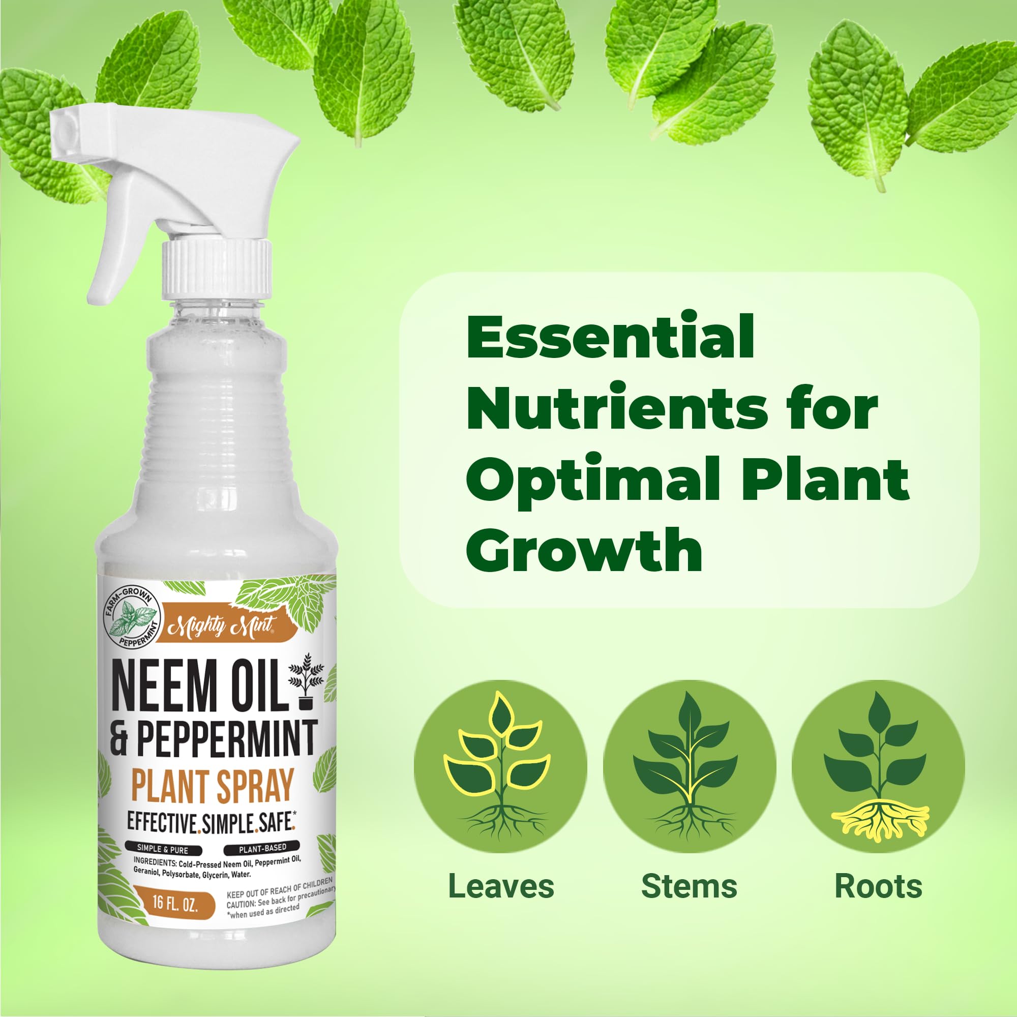 Mighty Mint root nourishment applied to soil and roots to support vitality.