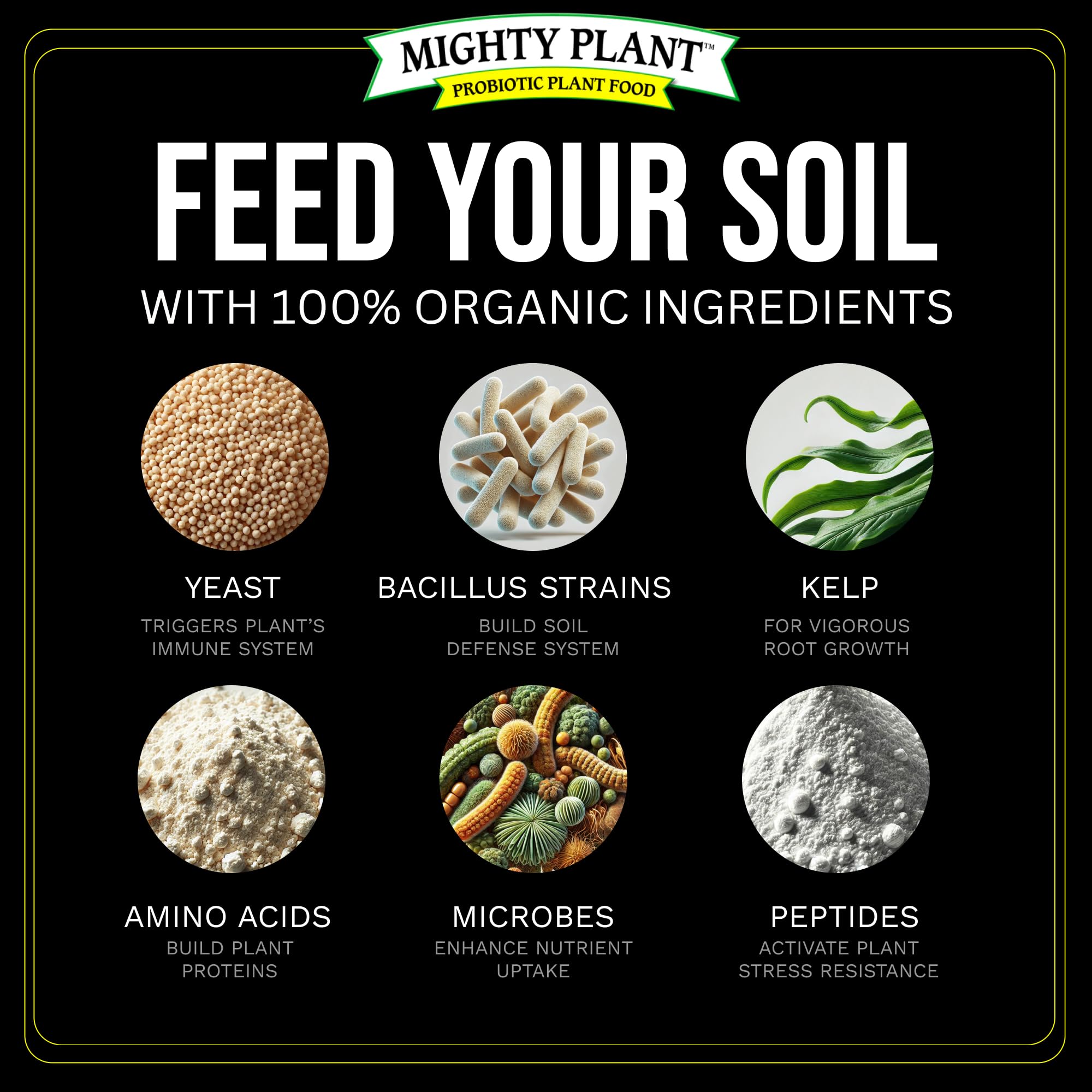 Foliar spray application with Mighty Plant compost tea on healthy leaves