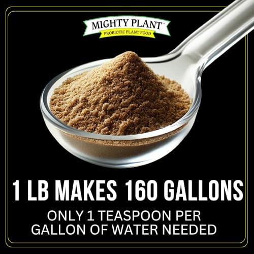 Eco-friendly packaging emphasizing organic, no-brew formula by Mighty Plant