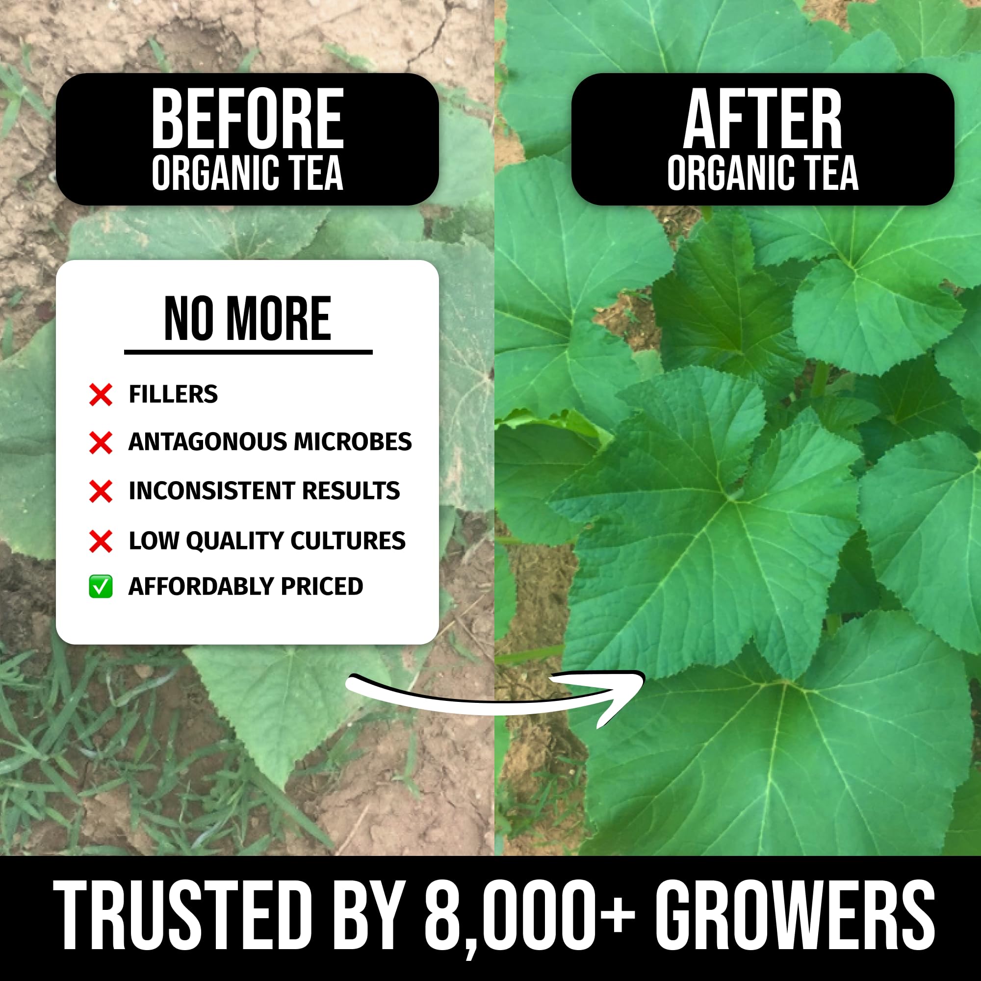 Mighty Plant root-drench application in a garden setting.